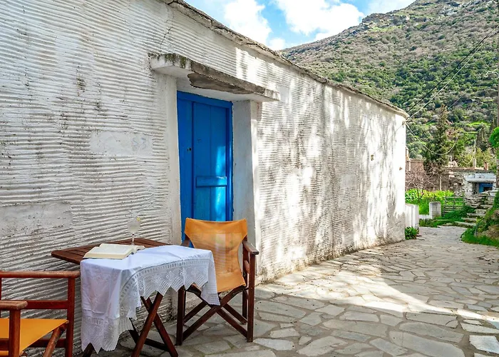 Daire Traditional Olive